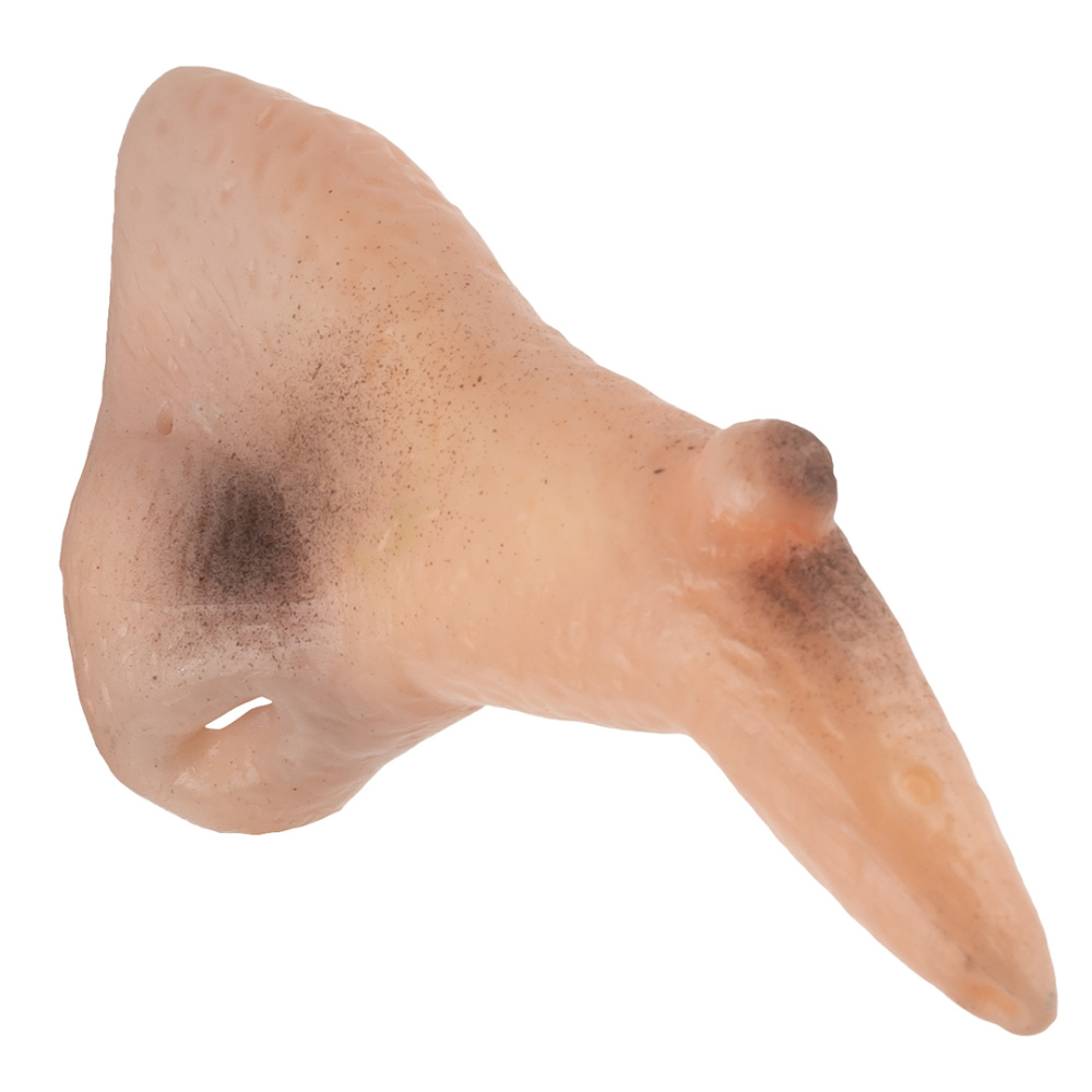 картинка Нос Ведьмы, 1 шт. от магазина FiestaGift