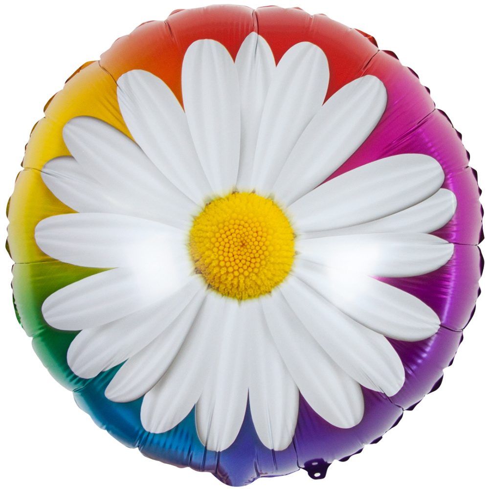 картинка Шар (18''/46 см) Круг, Ромашка, Радужный, 1 шт. от магазина FiestaGift