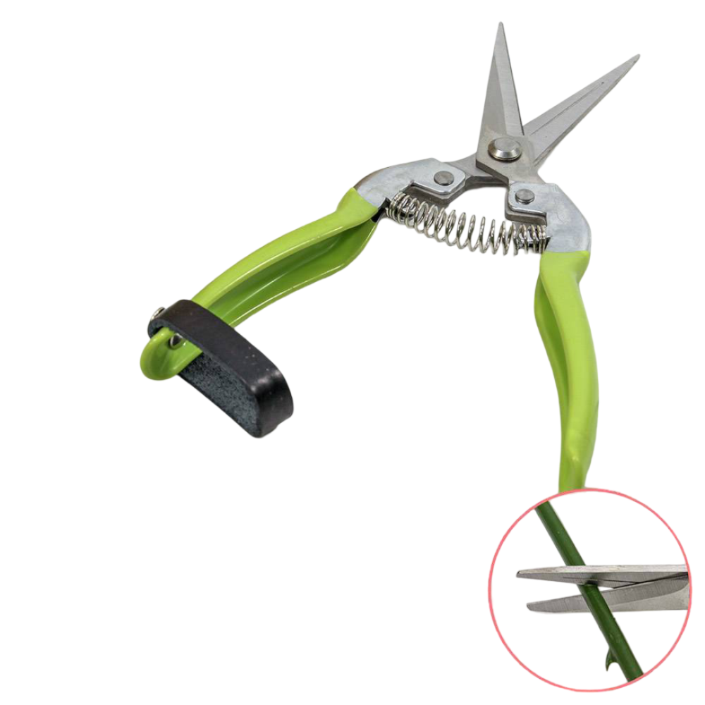 картинка Ножницы универсальные 19,8см Зелёный 1/12 1/120 от магазина FiestaGift