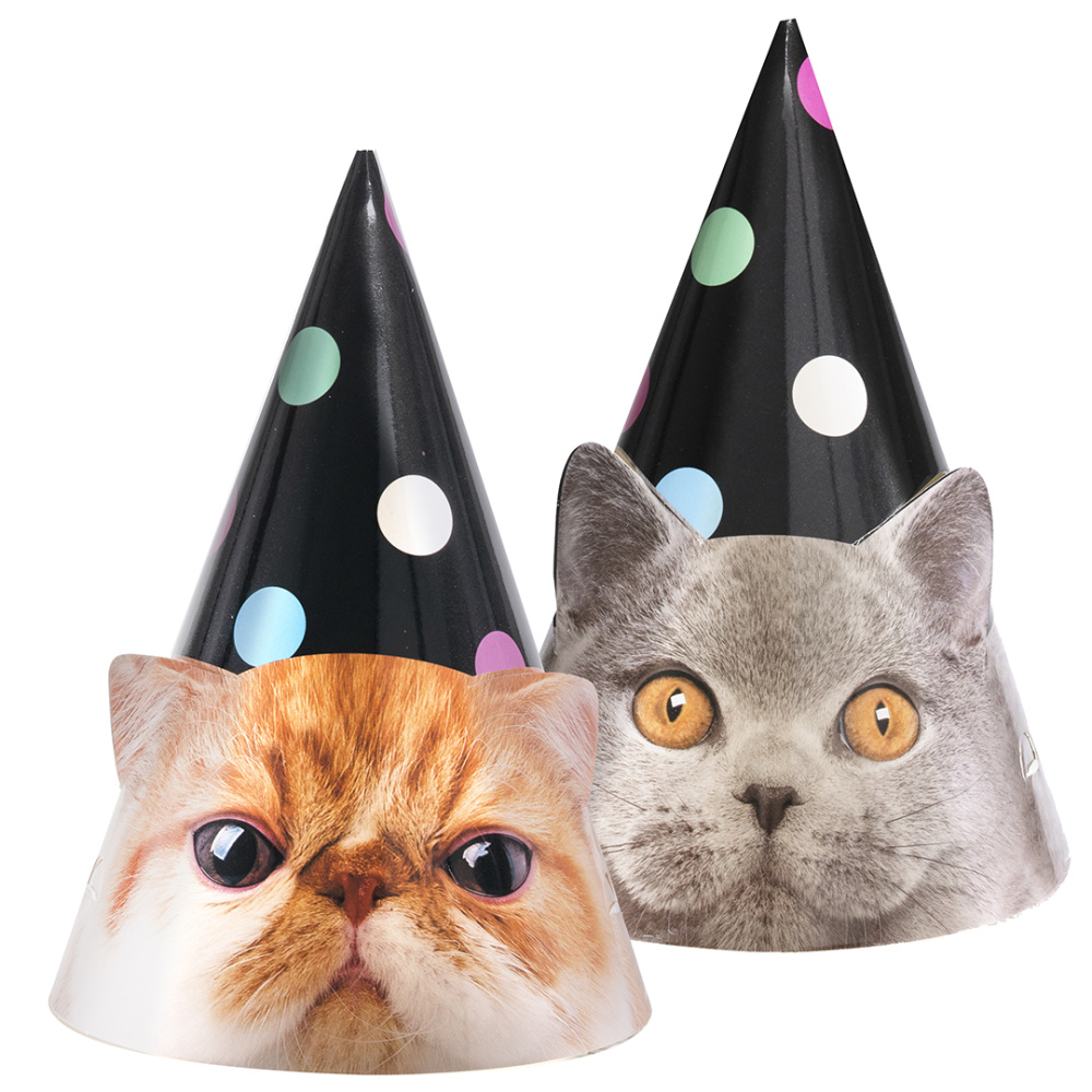 картинка Колпаки, Котики, 6 шт. в упак. от магазина FiestaGift